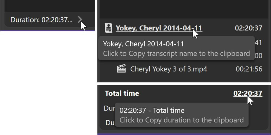 Transcript tab showing duration and viewer