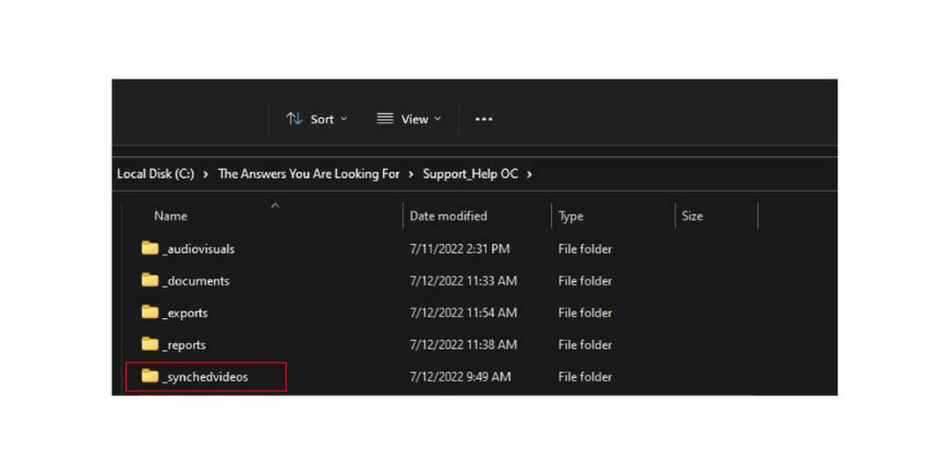 Deposition video in the _synchedvideos folder