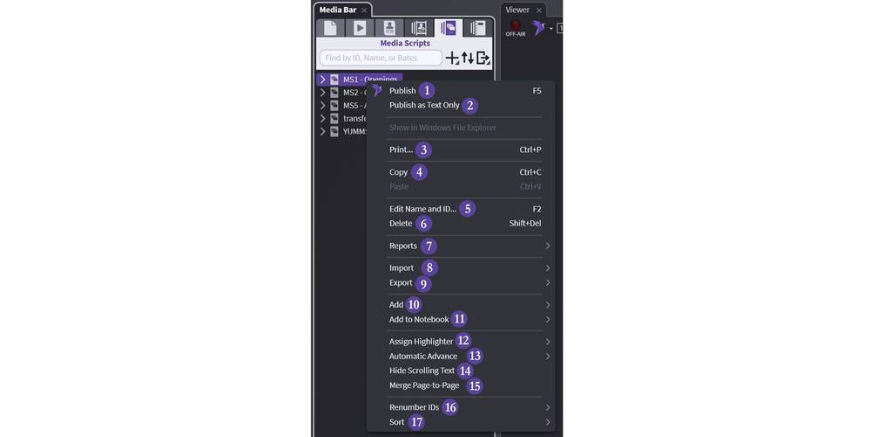 Main Script right-click menu