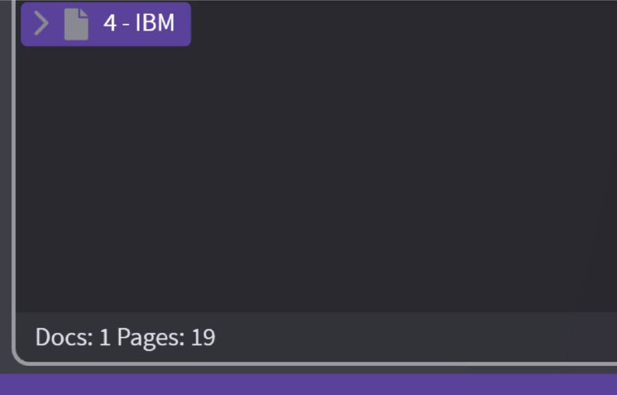 4-IBM document with 19 pages