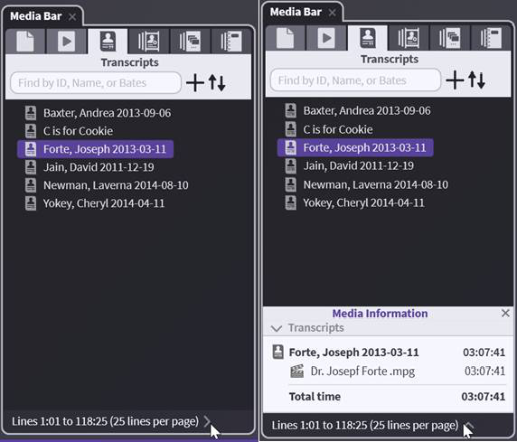 Viewing required video file names