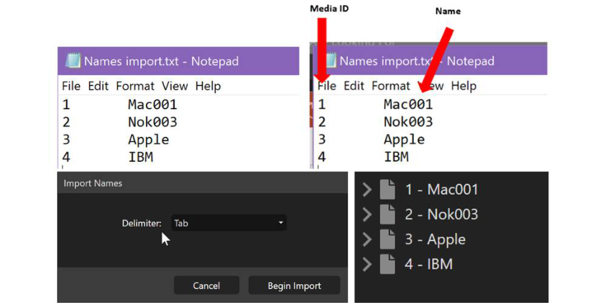 Text file format for Main Document names