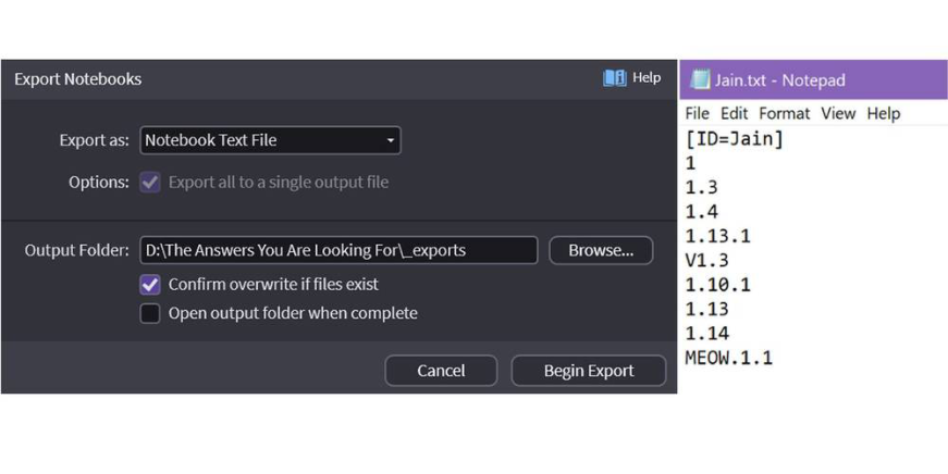 Text File export options dialog