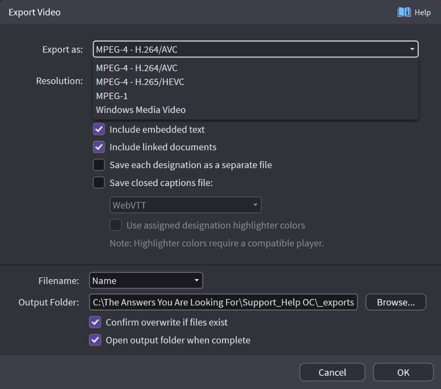 Video export options dialog