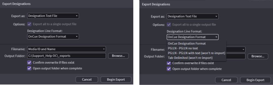 Text export options dialog
